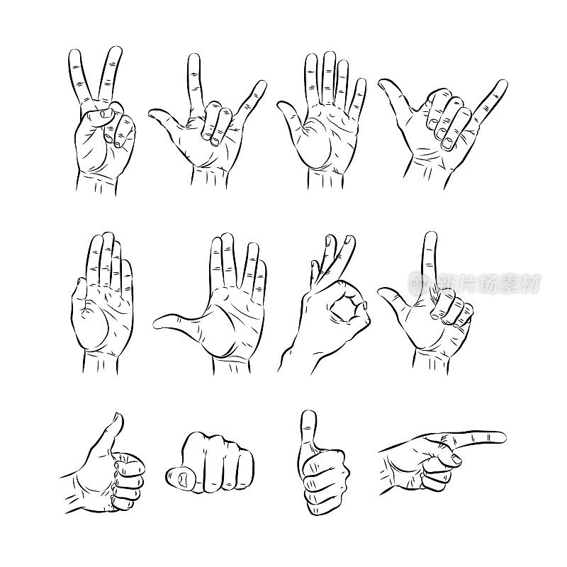 set of hands showing different gestures. vector illustration